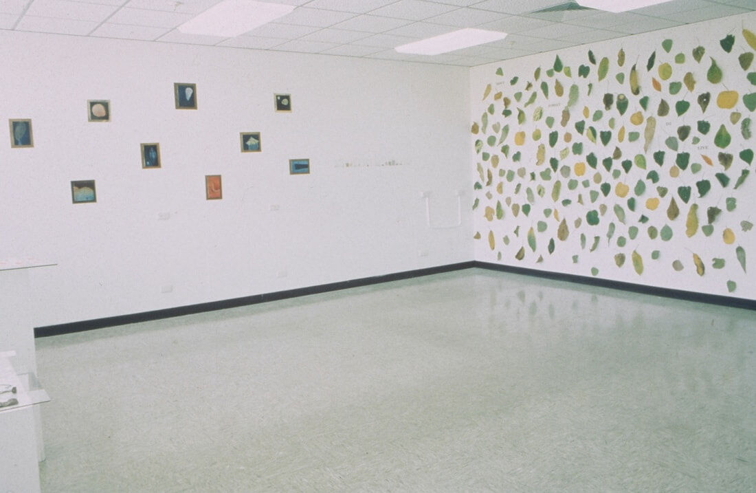 Gallery Space, Northern Territory University. Exhibition as completion of Residency. 1993.