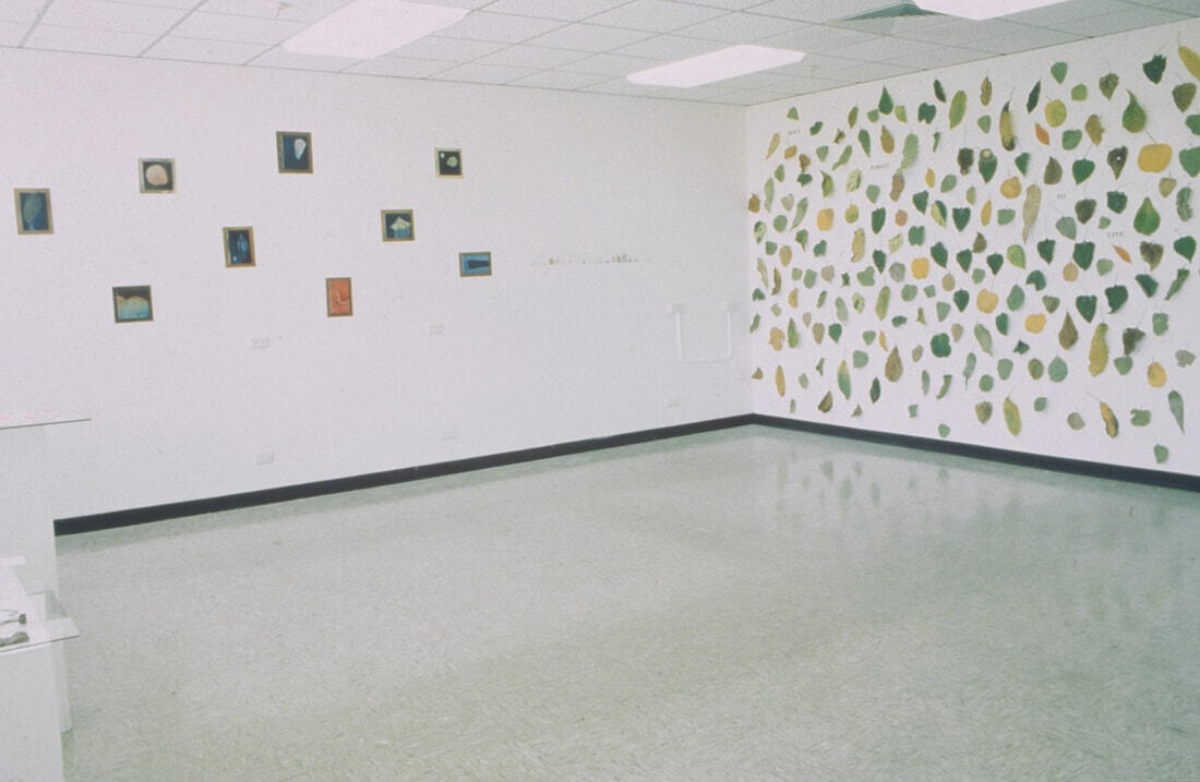 Gallery Space, Northern Territory University. Exhibition as completion of Residency. 1993.