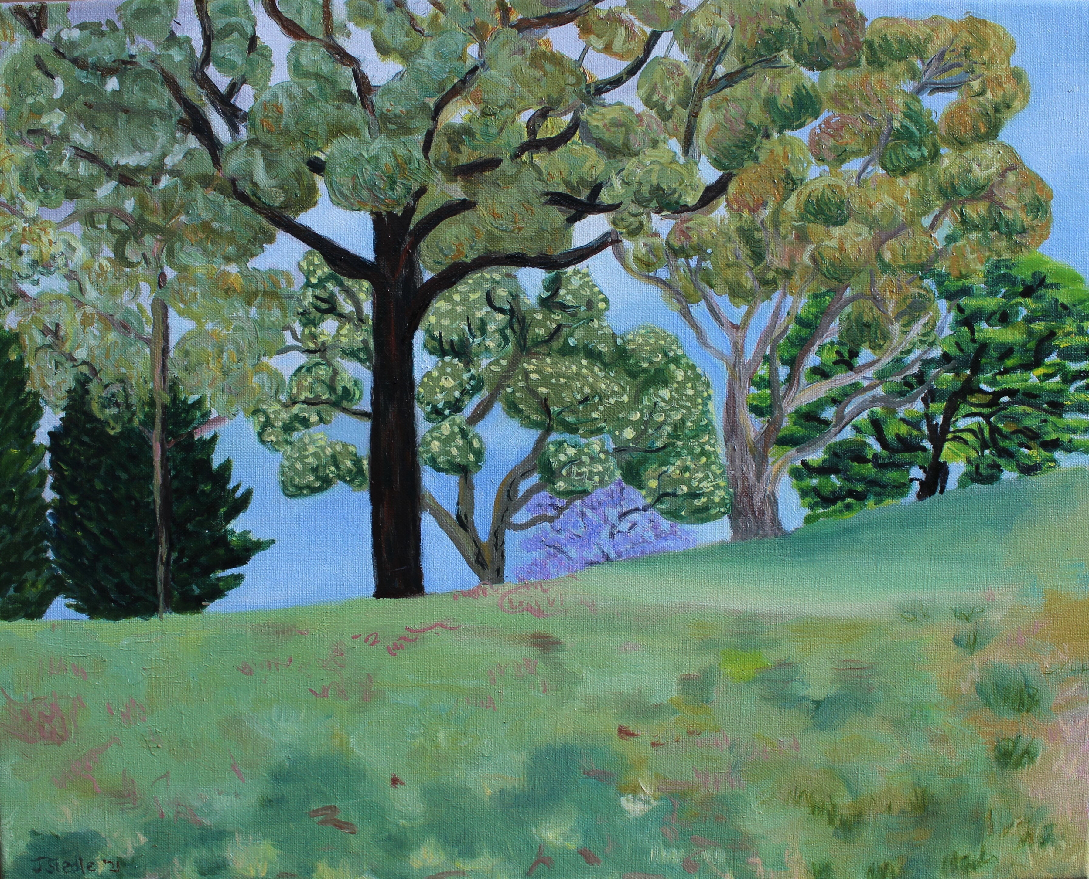 Justine Siedle The trees on the hill in Kew 3 51 x 40.5 cm Oil on Linen