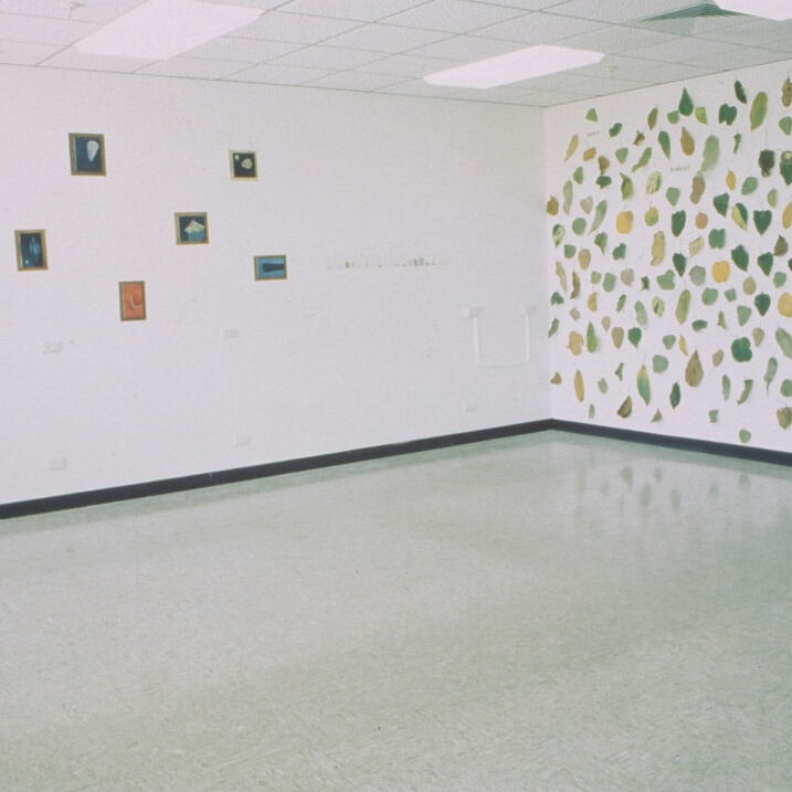 Gallery Space, Northern Territory University. Exhibition as completion of Residency. 1993.