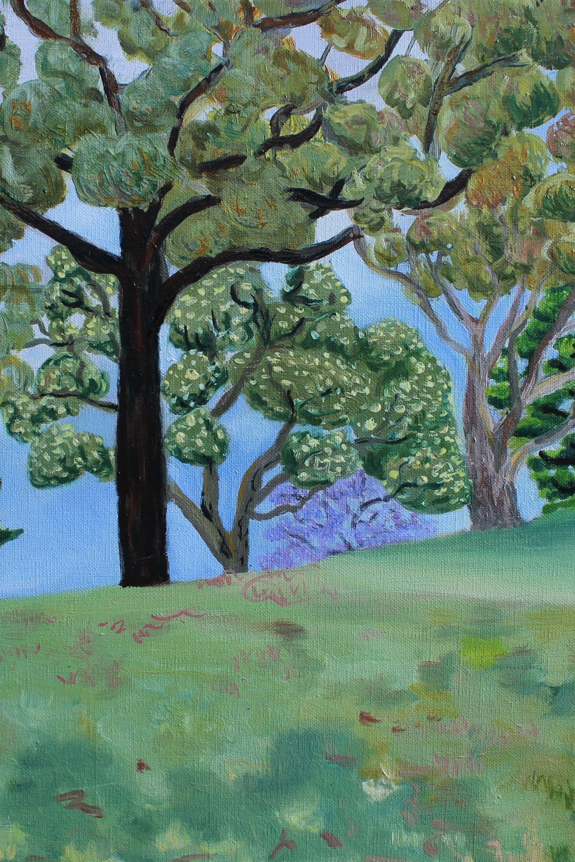 Justine Siedle The trees on the hill in Kew 3 51 x 40.5 cm Oil on Linen