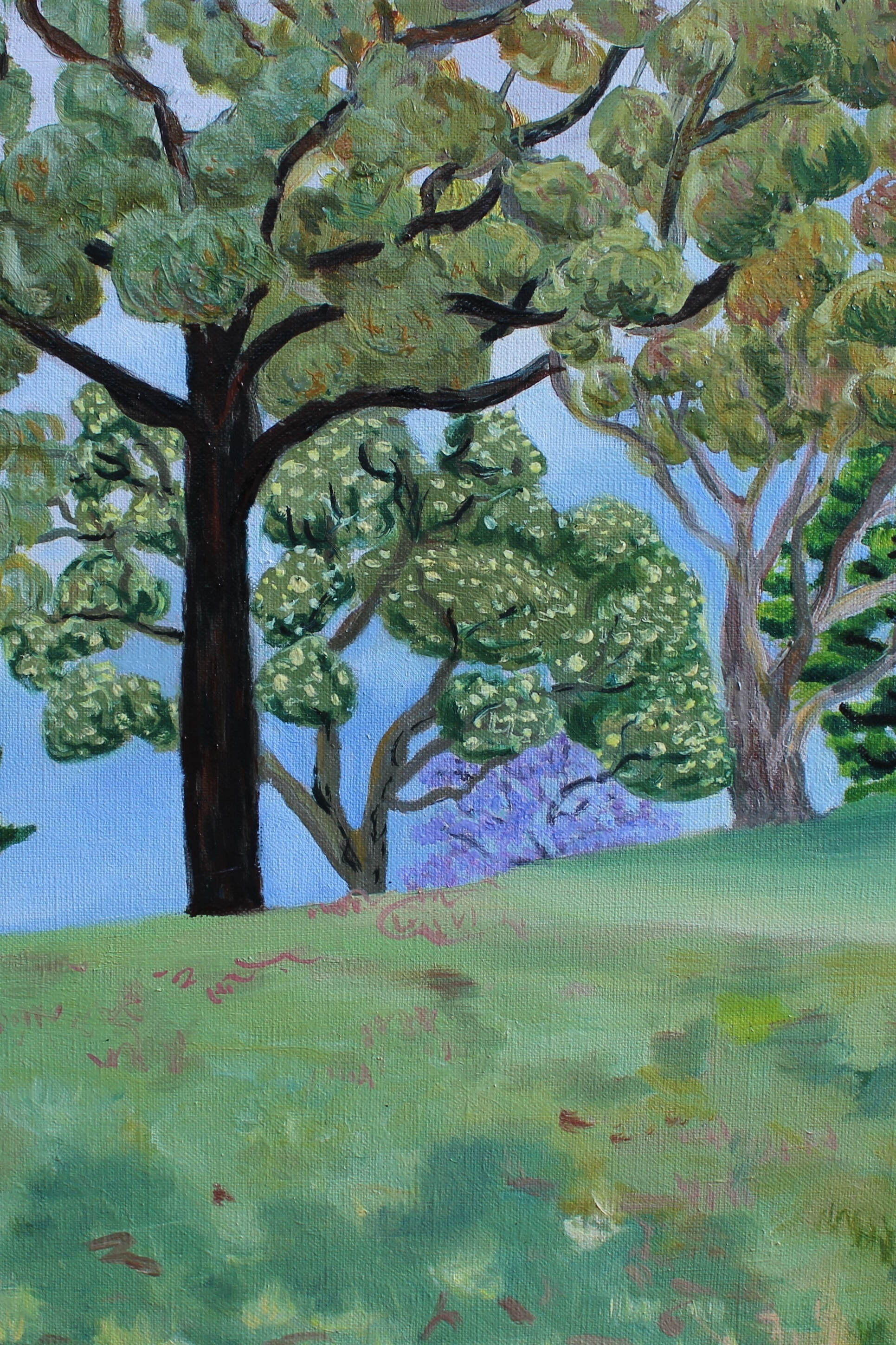 Justine Siedle The trees on the hill in Kew 3 51 x 40.5 cm Oil on Linen